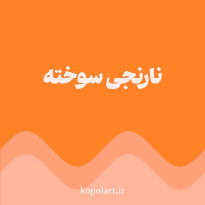 رنگ نارنجی سوخته (Burnt Orange Color) با کد هگز FF8226