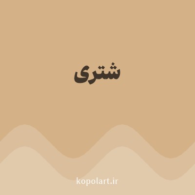 رنگ شتری با کد D4B186