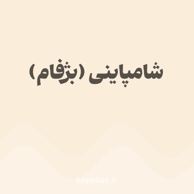 رنگ شامپاینی (بژفام) با کد FAEDD9