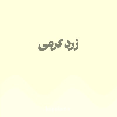رنگ زرد کرمی (Creamy Yellow Color) با کد هگز FFFFDD