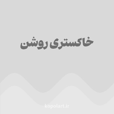 رنگ خاکستری روشن (Light Gray Color) با کد هگز D9D9D9