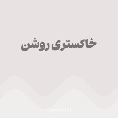 رنگ خاکستری روشن (Light Gray Color) با کد هگز E8E2E2