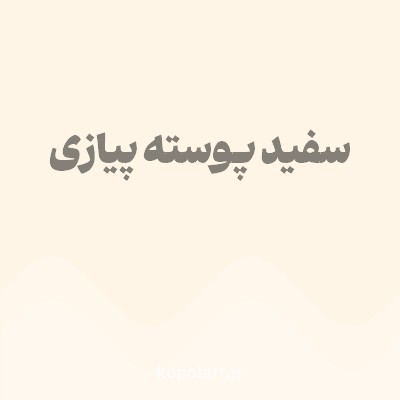 رنگ سفید پوسته پیازی با کد FFF5E6