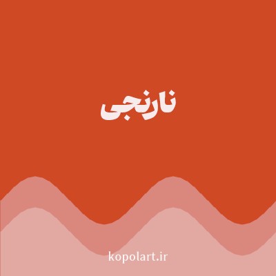 رنگ نارنجی (Orange Color) با کد هگز D04925