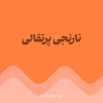 رنگ نارنجی پرتقالی (Orange Color) با کد هگز FF7F3E