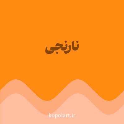 رنگ نارنجی (Orange Color) با کد هگز FF8B13