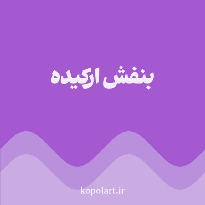 رنگ بنفش ارکیده با کد A459D1