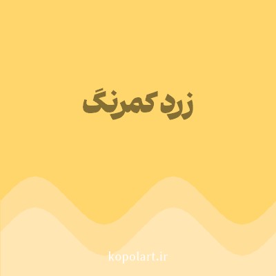 رنگ زرد کمرنگ (Pale Yellow Color) با کد هگز FFD66B