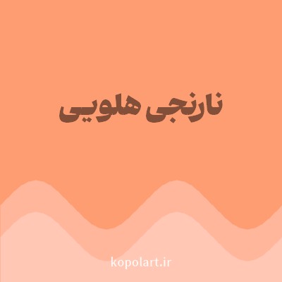 رنگ نارنجی هلویی (Peach Orange Color) با کد هگز FF9D72