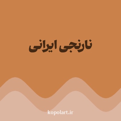 رنگ نارنجی ایرانی با کد CB824A