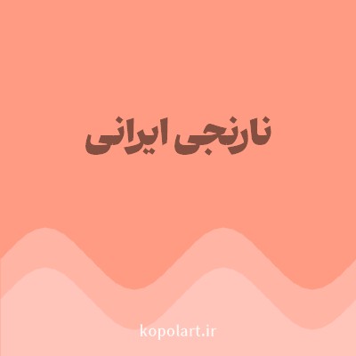 رنگ نارنجی ایرانی (Persian Orange Color) با کد هگز FF9B82