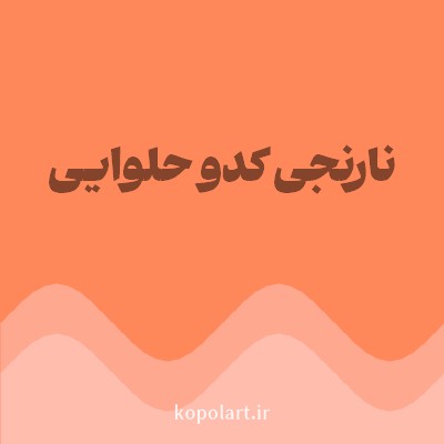 رنگ نارنجی کدو حلوایی با کد FF885B