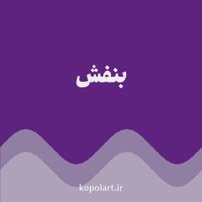 رنگ بنفش (Purple Color) با کد هگز 5E227F
