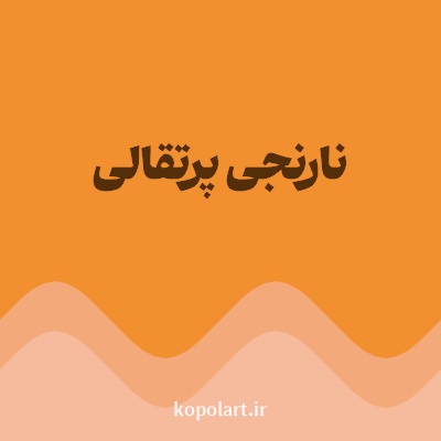 رنگ نارنجی پرتقالی با کد F28F2E