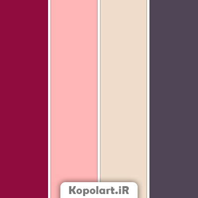 پالت رنگ شرابی و صورتی گلبهی به همراه روانشناسی رنگها کدها(rgb,hex,cmyk)