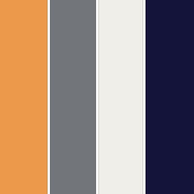 پالت رنگ نارنجی(خردلی) و خاکستری روانشناسی رنگ + کدهای رنگی