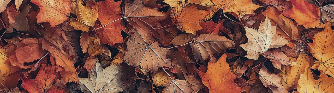 والپیپر جذاب برگ‌های نارنجی پاییزی با کیفیت Full Ultra HD(8k) مناسب برای موبایل و کامپیوتر