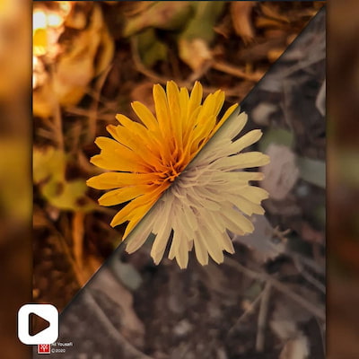 ویدیو آموزشی یک ادیت زیبای پاییزی