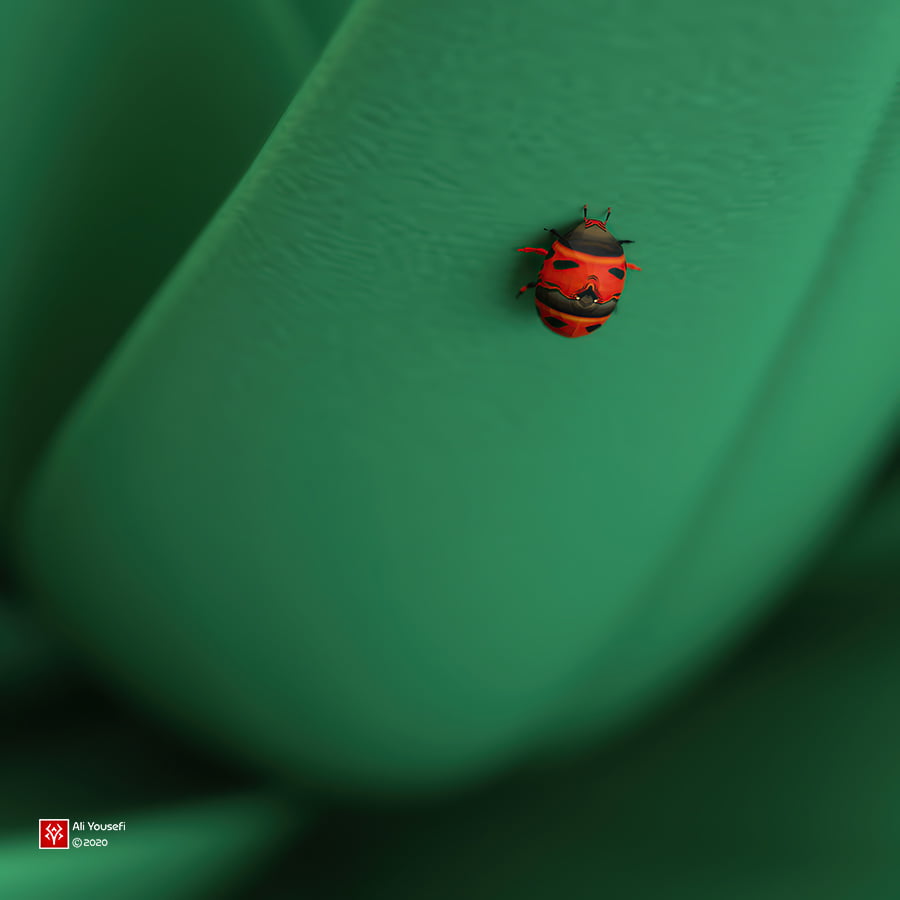 رندر رئال و بسیار زیبا در ادوبی دیمنشن