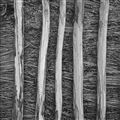 والپیپر مینیمال سیاه سفید و دارک از خانه سنتی چوبی با تم نقاشی و کیفیت 4k