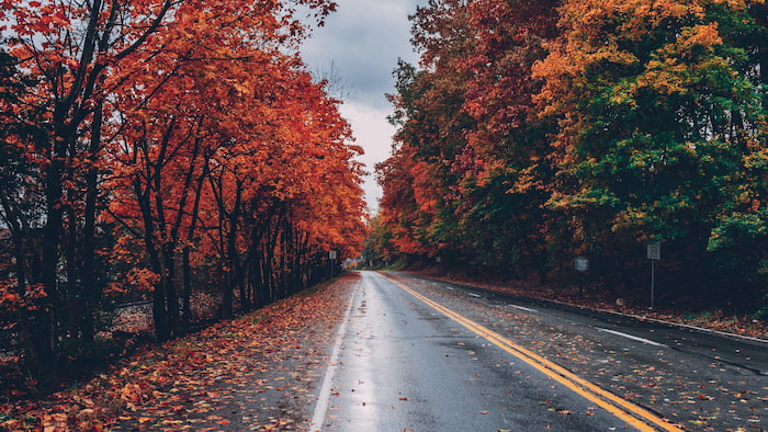 تصویر زیبای جاده با طبیعت پاییزی با کیفیت 4k برای کامپیوتر