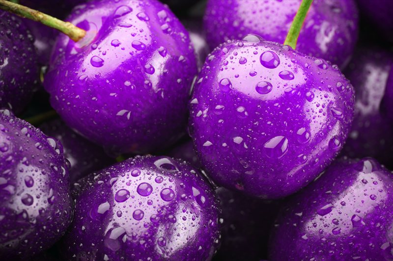 والپیپر گیلاس با تم بنفش برای کامپیوتر