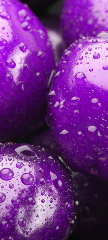 والپیپر گیلاس با تم بنفش برای موبایل