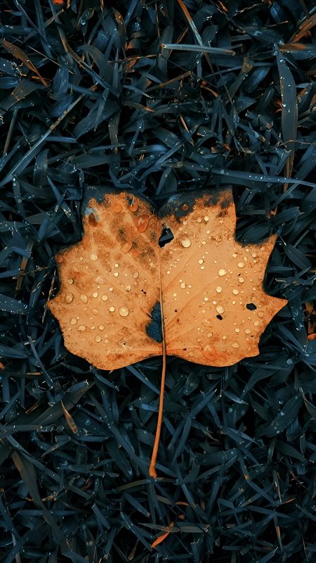 والپیپر برگ تنهای پاییزی برای موبایل