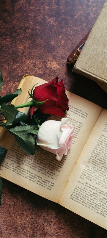 والپیپر خاص گل رز سفید و قرمز روی کتاب - موبایل