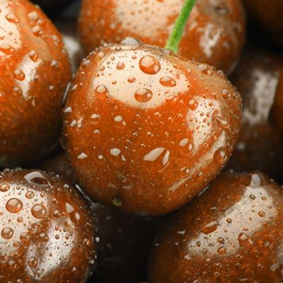 والپیپر جذاب گیلاس با رنگهای بنفش، نارنجی و قرمز